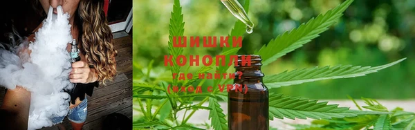 прущая мука Магас