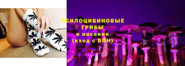 прущая мука Магас