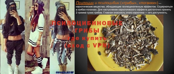 прущая мука Магас