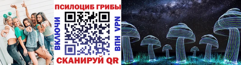 Купить закладки  Корсаков  Псилоцибиновые грибы Psilocybe 